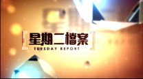 Tuesday Report