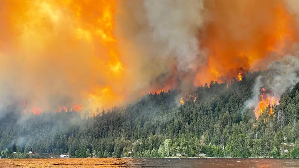 全國-本國山火季節至今焚毀近130萬公頃山林 | 新時代電視 Fairchild TV
