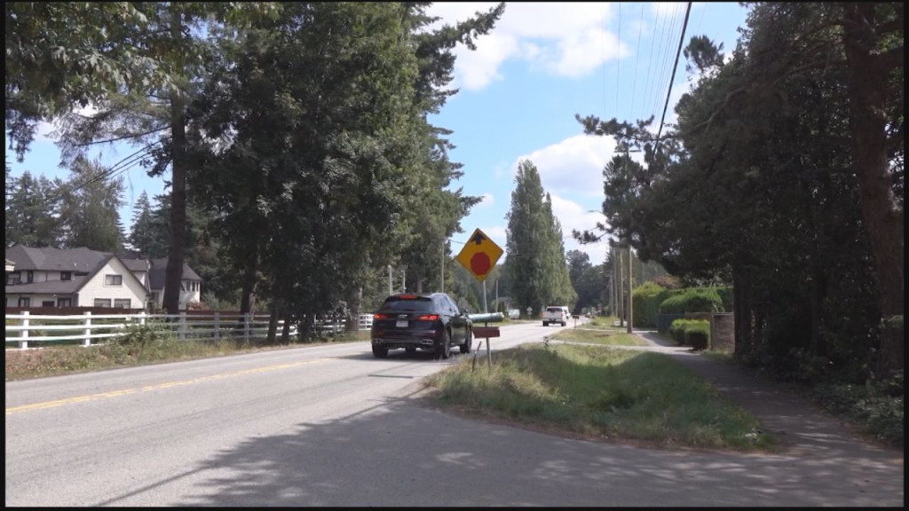 Surrey Shooting