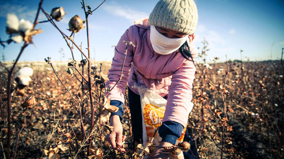 National-NAFTA Forced Labor  | Fairchild TV 