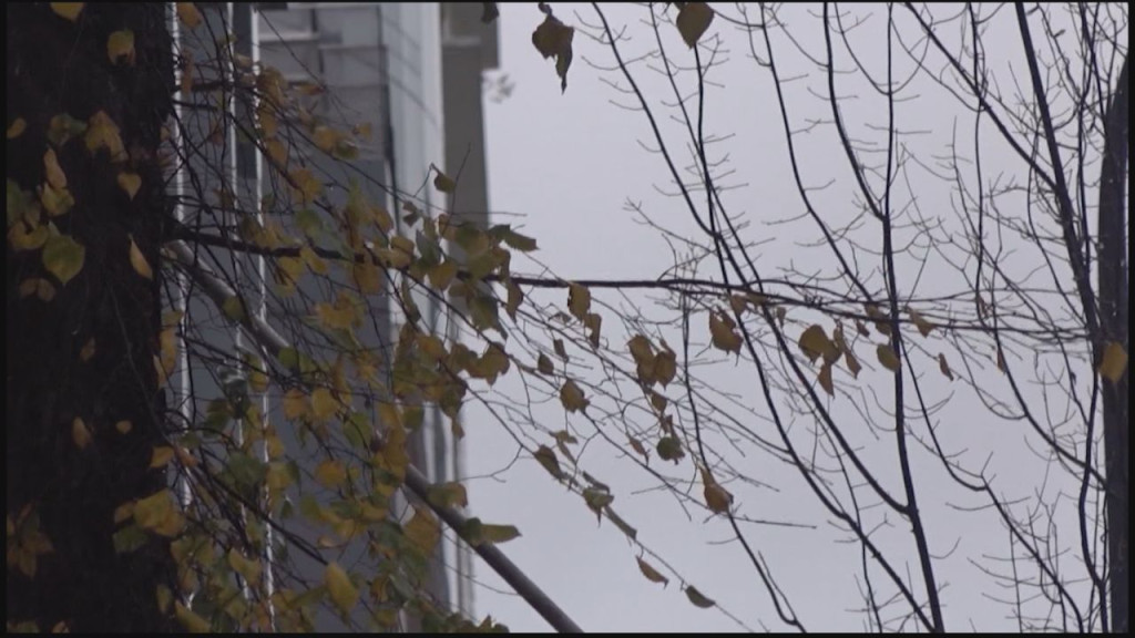 大溫地區整個週末出現大雨