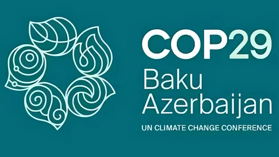 COP29