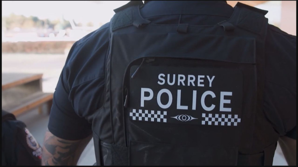 Surrey weekend shooting