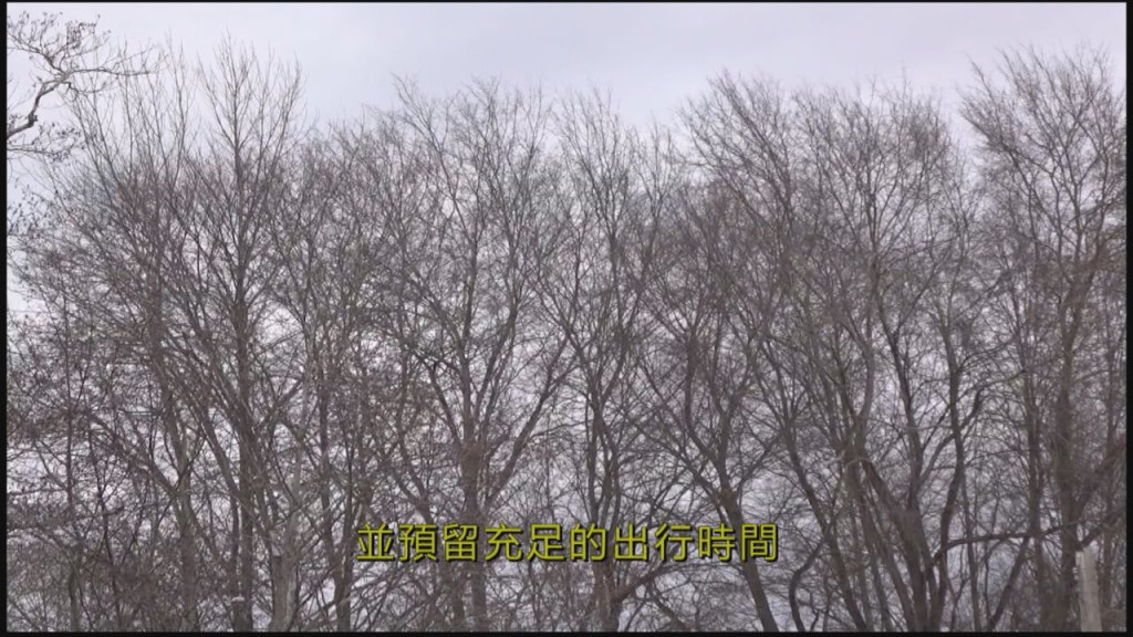 photo of 大溫地區強風以及大雨減退