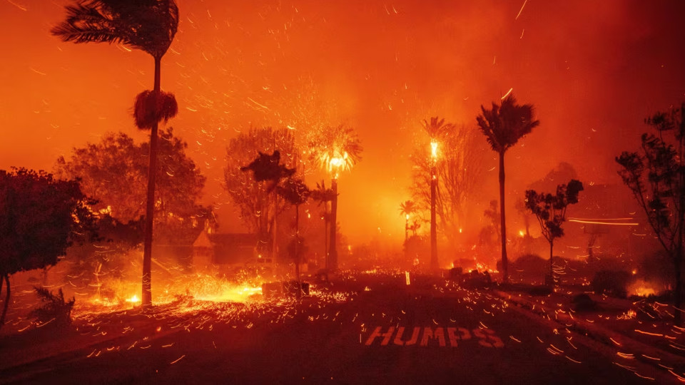 L.A. Wildfires 