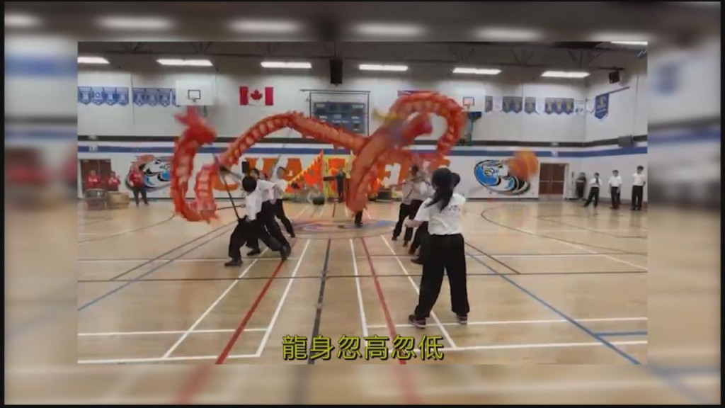 Northern Shaolin Kung Fu 301737528481